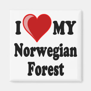 Íman Eu amo (coração) meu gato norueguês da floresta