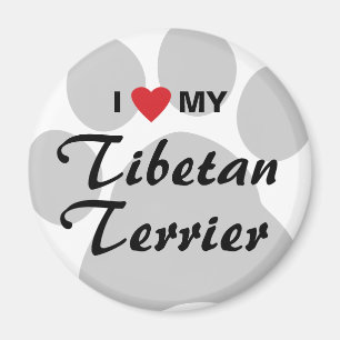 Íman Eu amo (coração) meu Terrier tibetano