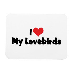 Íman Eu Amo Coração Meus Lovebirds - Amante de Pássaros
