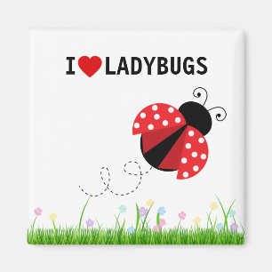 Íman Eu Amo Damybugs Magnet