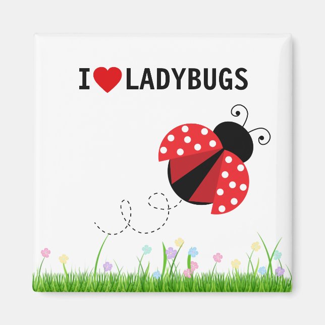 Íman Eu Amo Damybugs Magnet (Frente)
