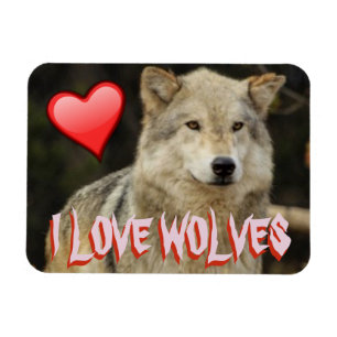 ÍMAN  EU AMO DEMASIADO LOBOS - OS LOBOS ESTÃO BONITOS E