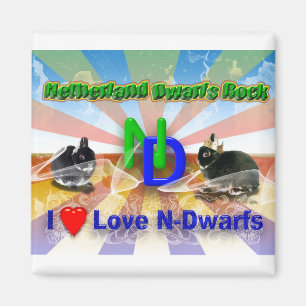 Íman Eu amo Dutch Dwarf Bunnies