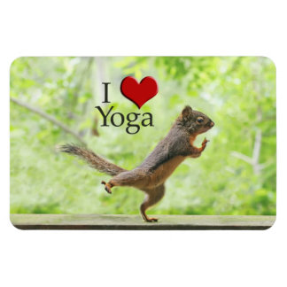 Íman Eu Amo Esquilo Yoga