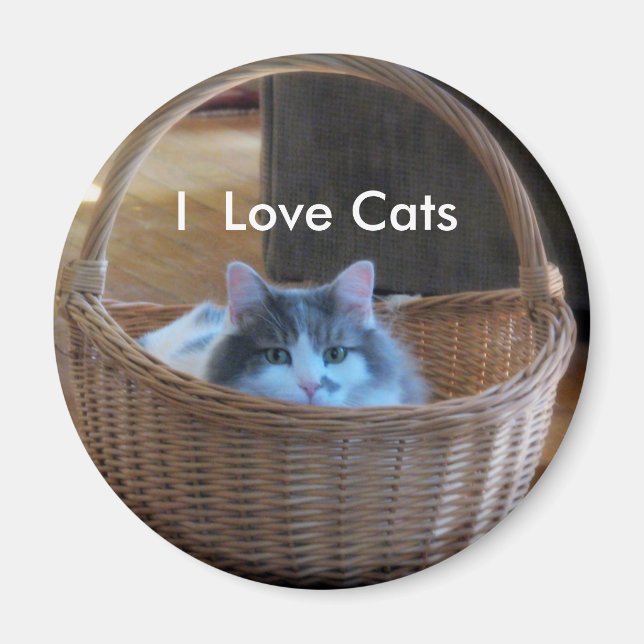 Íman Eu Amo Gatos (Frente)