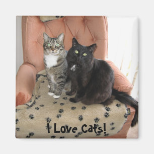 Íman Eu amo gatos! ímã