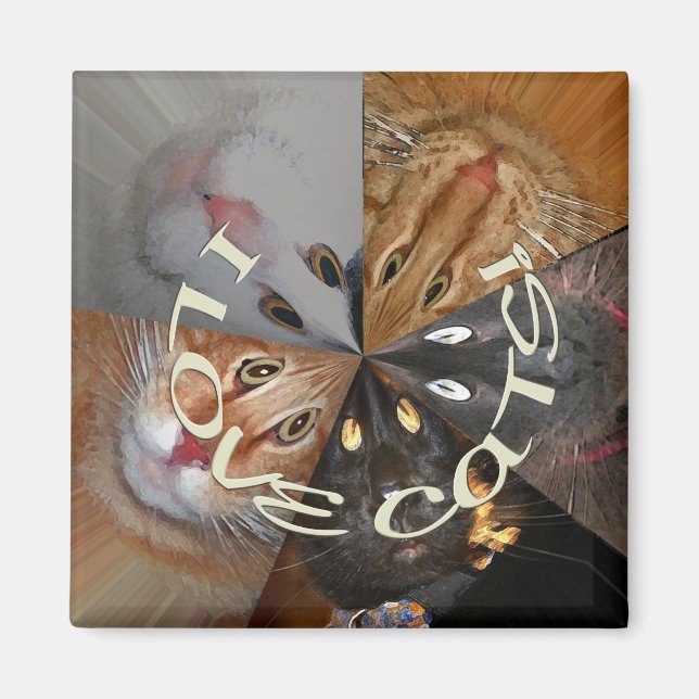Íman Eu Amo Magnet De Gatos (Frente)