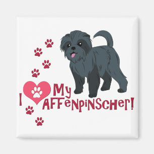 Íman Eu Amo Meu Affenpinscher!