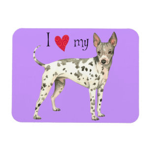 Íman Eu amo meu amado americano sem cabelo