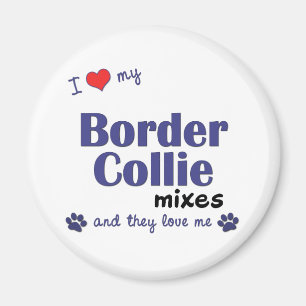 Íman Eu amo meu border collie misturo (os cães