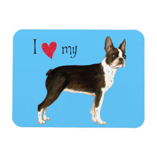 Íman Eu amo meu Boston Terrier