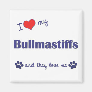 Íman Eu amo meu Bullmastiffs (os cães múltiplos)