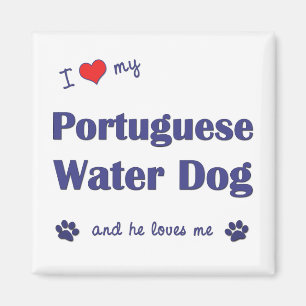 Íman Eu Amo Meu Cachorro De Água Português (Cachorro Ma