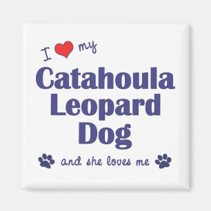 Íman Eu amo meu cão do leopardo de Catahoula (o cão