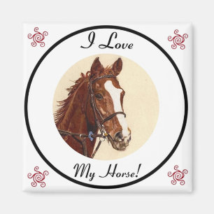 Íman Eu amo meu cavalo! Ímã equestre
