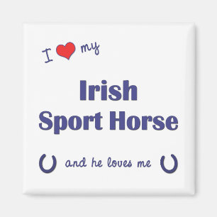 Íman Eu amo meu cavalo irlandês do esporte (o cavalo