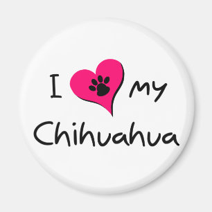 Íman Eu amo meu Chihuahua