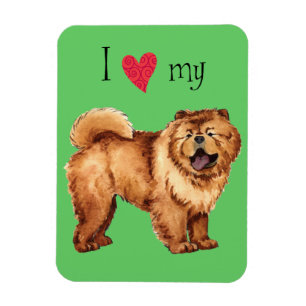 Íman Eu Amo Meu Chow