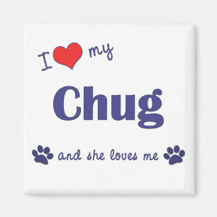 Íman Eu amo meu Chug (o cão fêmea)
