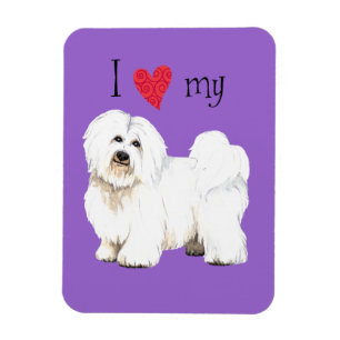 Íman Eu amo meu Coton de Tulear