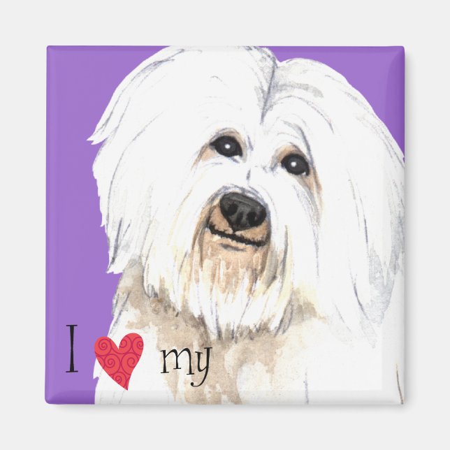 Íman Eu amo meu Coton de Tulear (Frente)