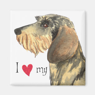 Íman Eu amo meu Dachshund Wirehaired