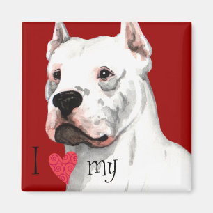 Íman Eu amo meu Dogo Argentino