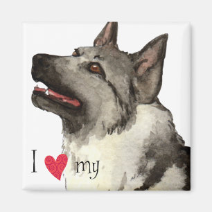 Íman Eu amo meu Elkhound norueguês