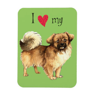 Íman Eu amo meu espanhol tibetano