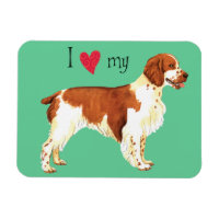 Eu amo meu galês Springer Spaniel