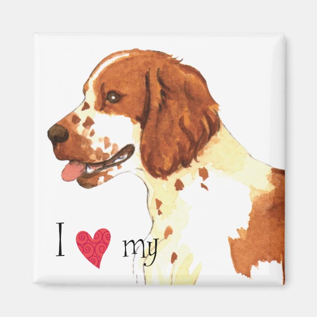 Íman Eu amo meu galês Springer Spaniel (Frente)