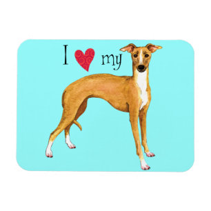 Íman Eu amo meu galgo italiano