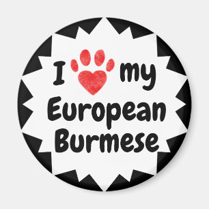 Íman Eu Amo Meu Gato Birmanês Europeu
