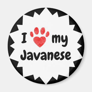 Íman Eu Amo Meu Gato De Javanês