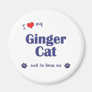 Íman Eu amo meu gato do gengibre (o gato masculino)