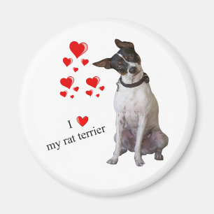 Íman Eu amo meu ímã de Terrier de rato