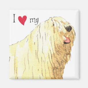 Íman Eu amo meu Komondor