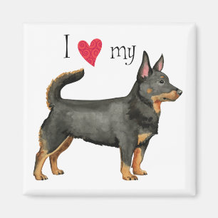 Íman Eu amo meu Lancashire Heeler