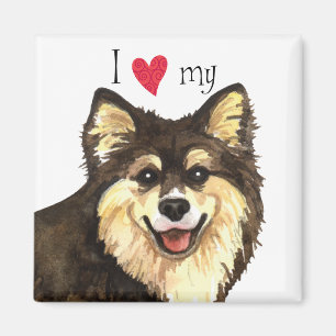 Íman Eu Amo meu Lapphund Finlandês