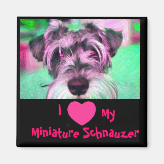 Íman Eu Amo Meu Magneto De Schnauzer Miniatura