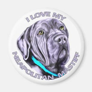 Íman Eu amo meu Mastiff napolitana