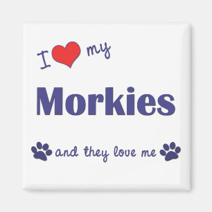 Íman Eu amo meu Morkies (os cães múltiplos)