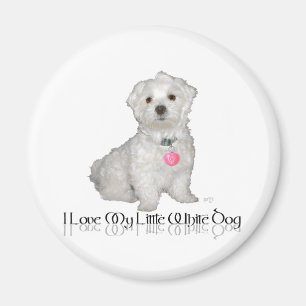 Íman Eu Amo Meu Pequeno Cachorro Branco - Maltese !