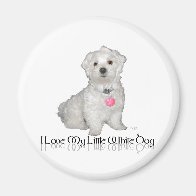 Íman Eu Amo Meu Pequeno Cachorro Branco - Maltese ! (Frente)