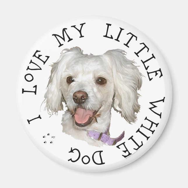 Íman Eu Amo Meu Pequeno Cão Branco Poodle / Bichon Mist (Frente)