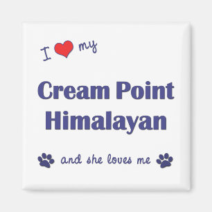 Íman Eu amo meu ponto de creme Himalaia (o gato fêmea)