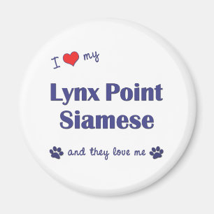 Íman Eu amo meu ponto do lince Siamese (os gatos