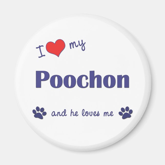 Íman Eu Amo Meu Poochon (Cachorro Masculino) (Frente)