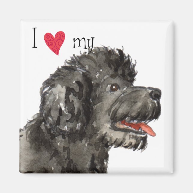 Íman Eu amo meu PWD (Frente)