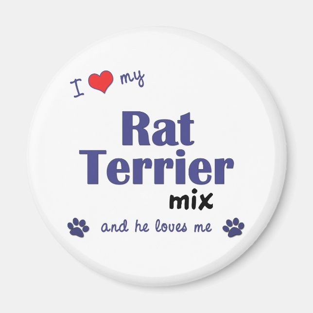 Íman Eu Amo Meu Rato Terrier Mix (Cachorro Masculino) (Frente)